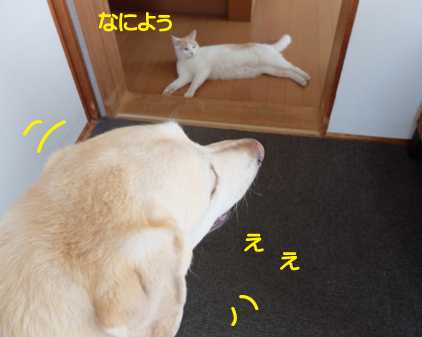 f:id:beriru:20180824140103j:plain
