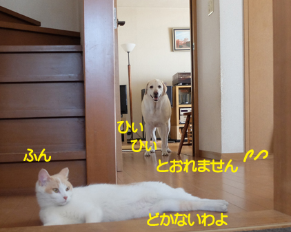 f:id:beriru:20180824140108j:plain