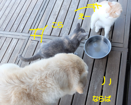 f:id:beriru:20180826173459j:plain