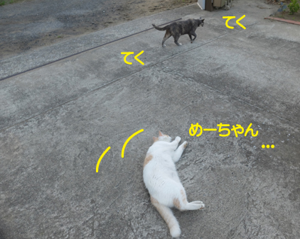 f:id:beriru:20180828192528j:plain