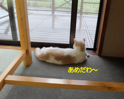 f:id:beriru:20180906223114j:plain