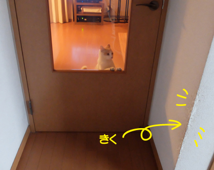 f:id:beriru:20180906223117j:plain