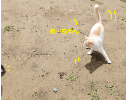 f:id:beriru:20180911202410j:plain