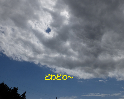 f:id:beriru:20180911202423j:plain