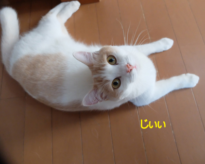 f:id:beriru:20180918113430j:plain