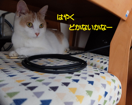 f:id:beriru:20180919174527j:plain