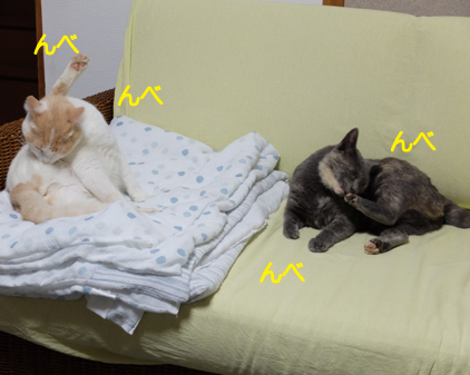 f:id:beriru:20180923120205j:plain