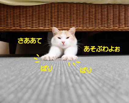 f:id:beriru:20180927120048j:plain
