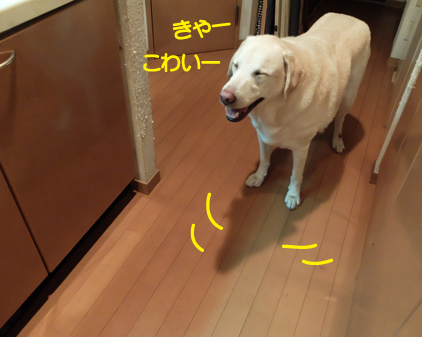f:id:beriru:20180929193427j:plain