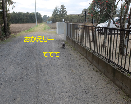 f:id:beriru:20190101165426j:plain