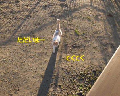 f:id:beriru:20190101165437j:plain