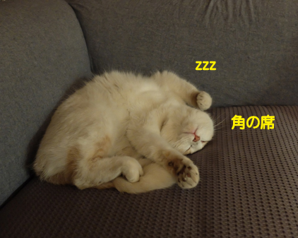 f:id:beriru:20190102164127j:plain