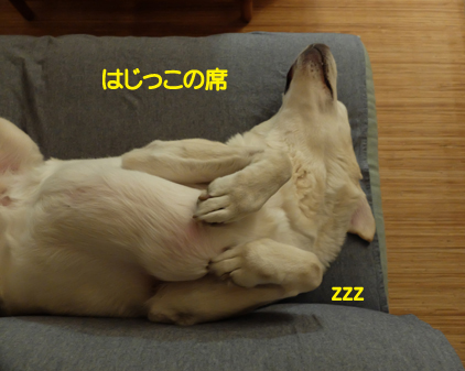 f:id:beriru:20190102164130j:plain