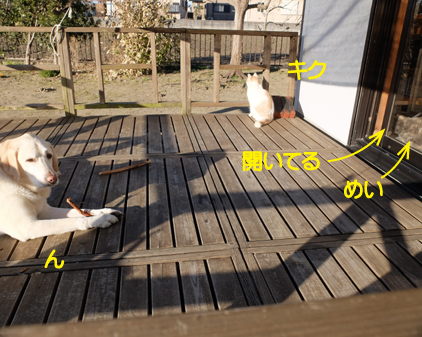 f:id:beriru:20190108212730j:plain