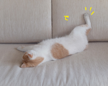 f:id:beriru:20190109192003j:plain