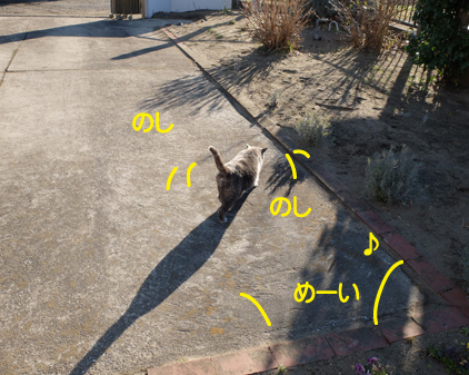 f:id:beriru:20190122222614j:plain
