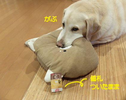 f:id:beriru:20190129185210j:plain