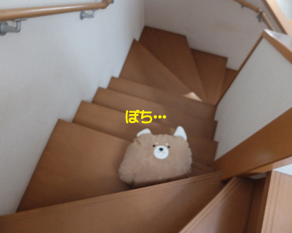 f:id:beriru:20190129185214j:plain