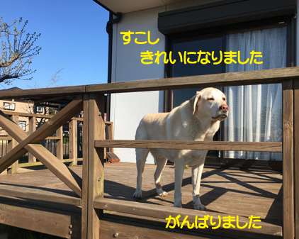 f:id:beriru:20190406174327j:plain f:id:beriru:20190406174327j:plain