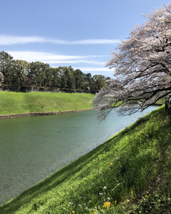 f:id:beriru:20190406174342j:plain f:id:beriru:20190406174342j:plain