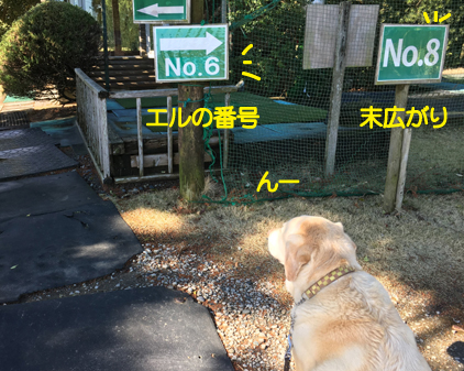 f:id:beriru:20190411212650j:plain