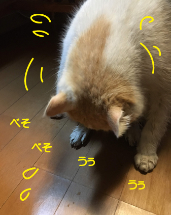 f:id:beriru:20190413113402j:plain f:id:beriru:20190413113402j:plain