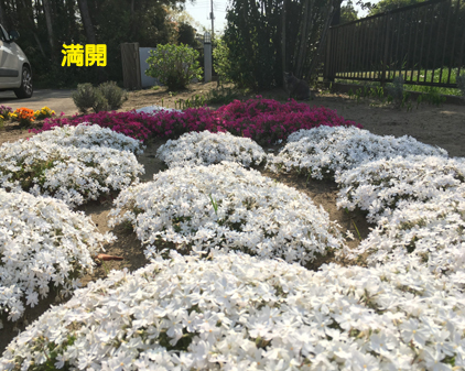 f:id:beriru:20190423211520j:plain