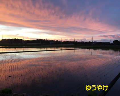 f:id:beriru:20190427230557j:plain
