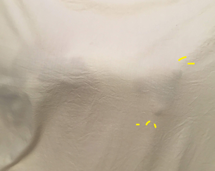 f:id:beriru:20190506210654j:plain