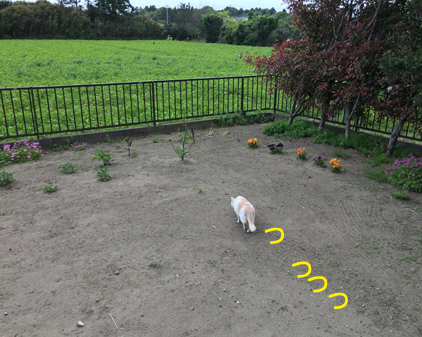 f:id:beriru:20190508203231j:plain