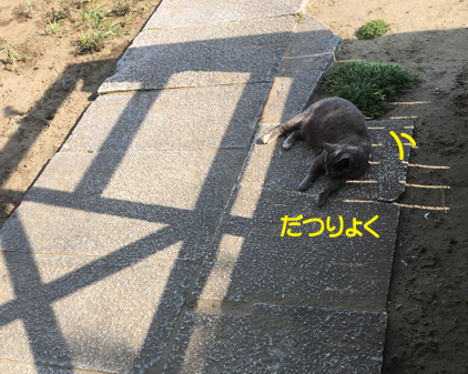 f:id:beriru:20190513185240j:plain