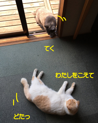 f:id:beriru:20190514221011j:plain