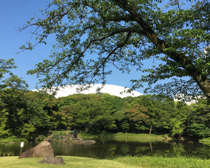 f:id:beriru:20190525111943j:plain