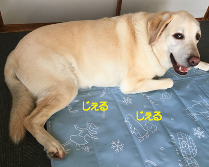 f:id:beriru:20190725152119j:plain