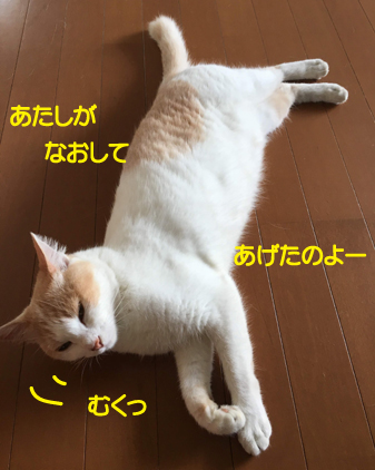 f:id:beriru:20190730130323j:plain