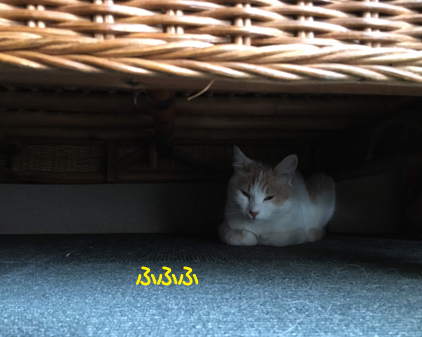 f:id:beriru:20190731210528j:plain