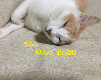 f:id:beriru:20190802160201j:plain