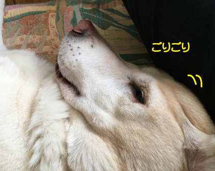 f:id:beriru:20200103225128j:plain