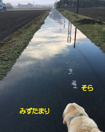 f:id:beriru:20200115231045j:plain
