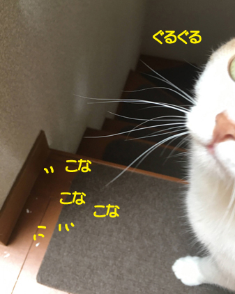 f:id:beriru:20200701230511j:plain