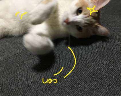 f:id:beriru:20200703220748j:plain