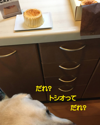 f:id:beriru:20200705194823j:plain