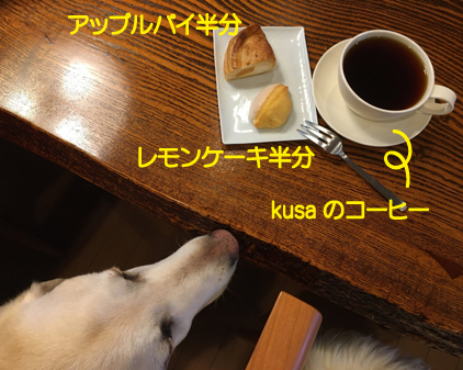 f:id:beriru:20200714001209j:plain