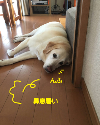 f:id:beriru:20200720200644j:plain