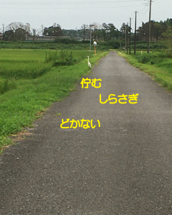 f:id:beriru:20200731215902j:plain
