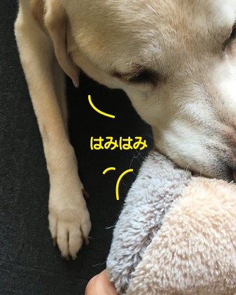 f:id:beriru:20200824200121j:plain