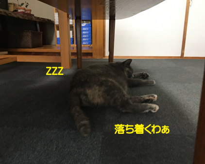 f:id:beriru:20201016193447j:plain