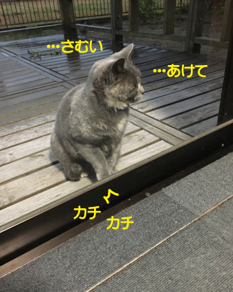 f:id:beriru:20201202222143j:plain