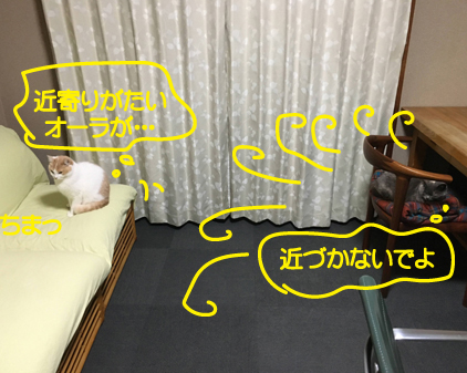 f:id:beriru:20201202222150j:plain