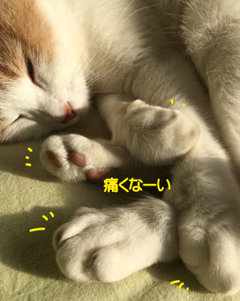 f:id:beriru:20201218193157j:plain